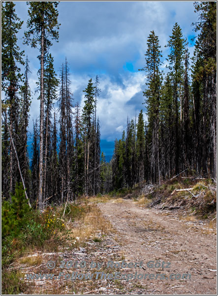 FR571, Montana
