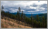 FR378/Thompson De Borgia Rd, Montana