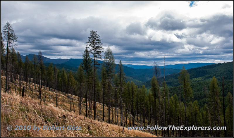 FR378/Thompson De Borgia Rd, Montana