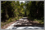FR352/Dry Creek Rd, Montana