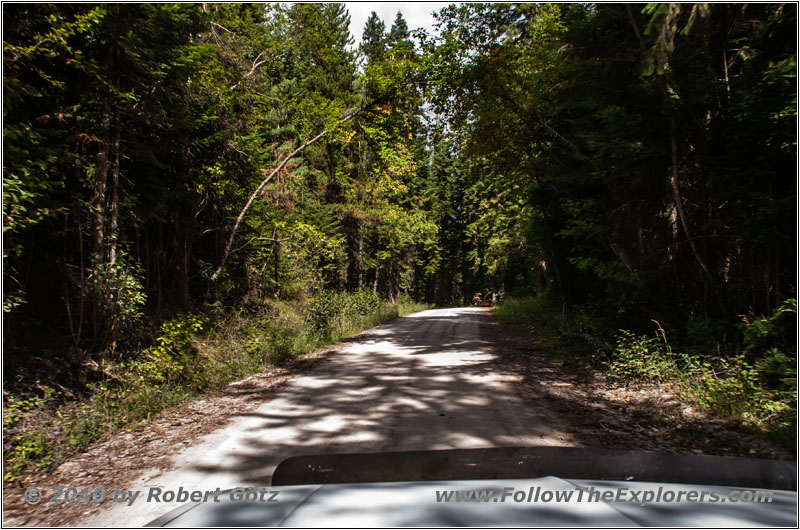 FR352/Dry Creek Rd, Montana