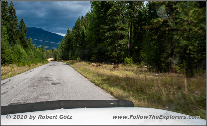 Rehe, Dry Creek Rd, Montana