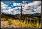 FR106/Bitterroot-Big Hole Rd, Montana