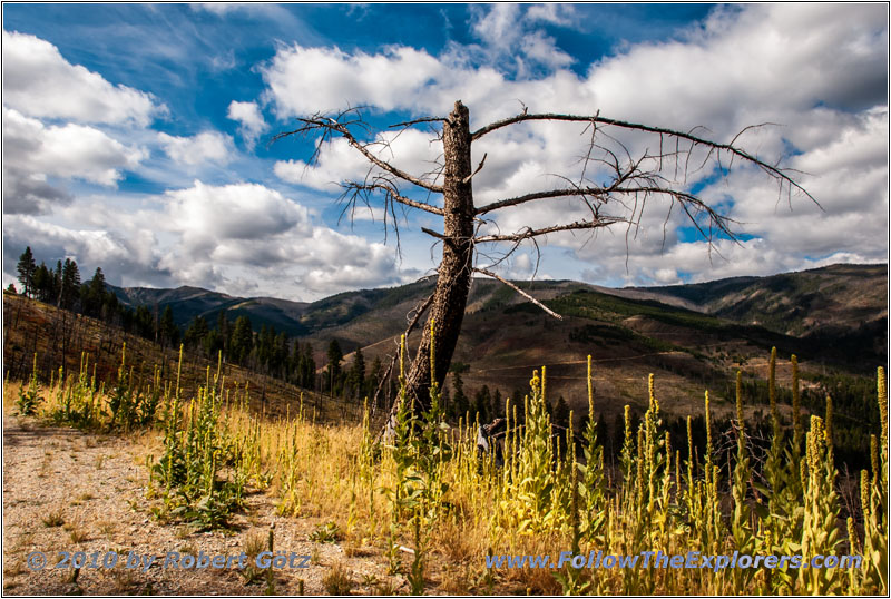 FR106/Bitterroot-Big Hole Rd, Montana