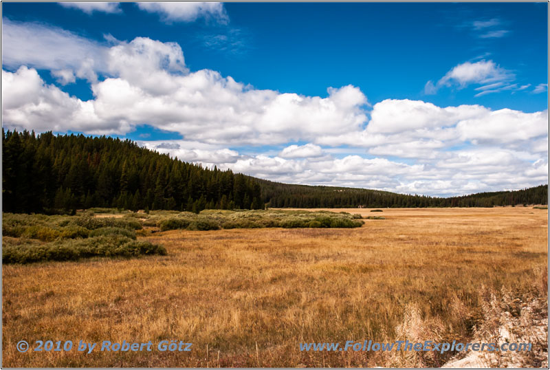 FR106/Bitterroot-Big Hole Rd, Trail Creek, Montana