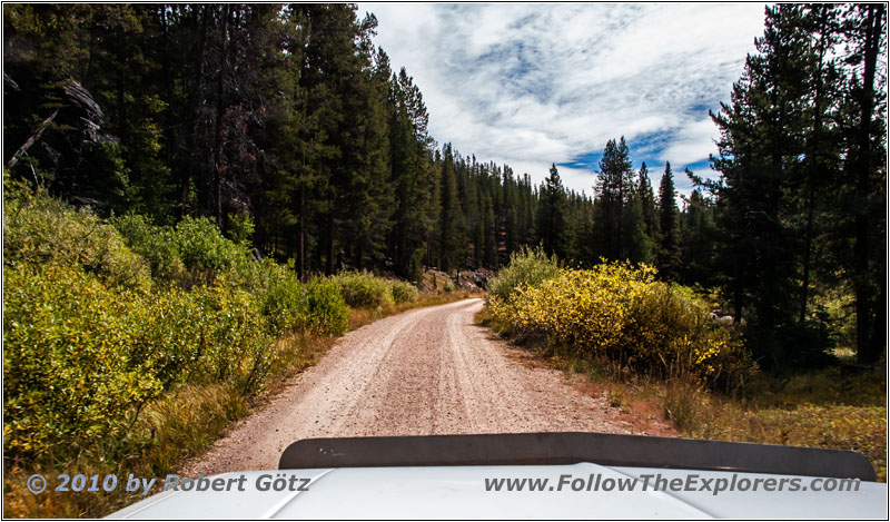 FR106/Bitterroot-Big Hole Rd, Trail Creek, Montana