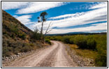 Skinner Meadows Rd, Montana