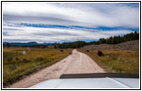 FR181/Skinner Meadows Rd, Montana