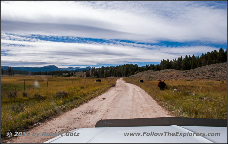 FR181/Skinner Meadows Rd, Montana