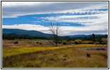 FR181/Skinner Meadows Rd, Montana