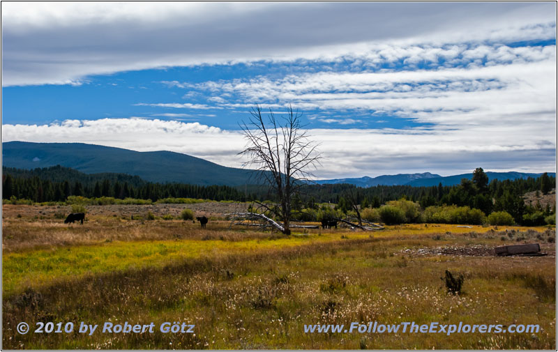 FR181/Skinner Meadows Rd, Montana