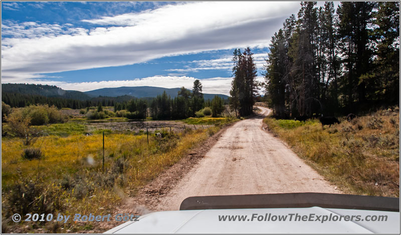 FR181/Skinner Meadows Rd, Montana