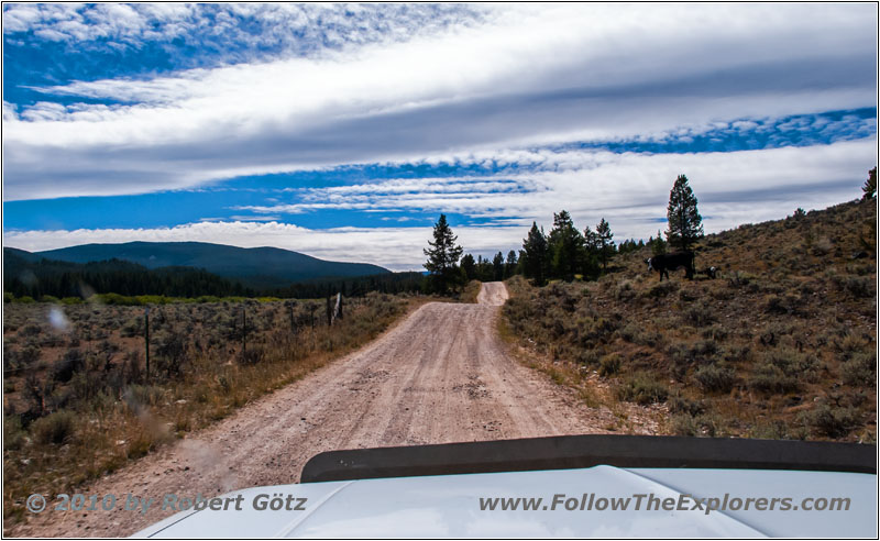 FR181/Skinner Meadows Rd, Montana