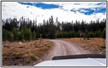 FR181/Bloody Dick Rd, Montana