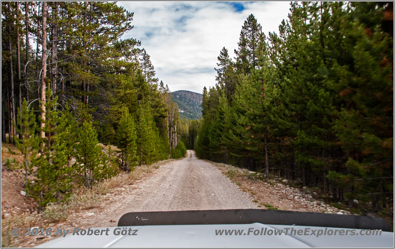FR181/Bloody Dick Rd, Montana