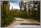 FR181/Bloody Dick Rd, Montana
