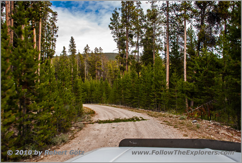 FR181/Bloody Dick Rd, Montana