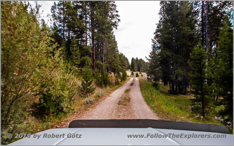 FR181/Bloody Dick Rd, Montana