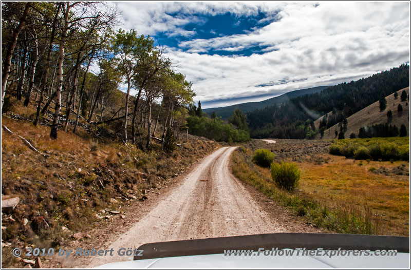 FR181/Bloody Dick Rd, Montana