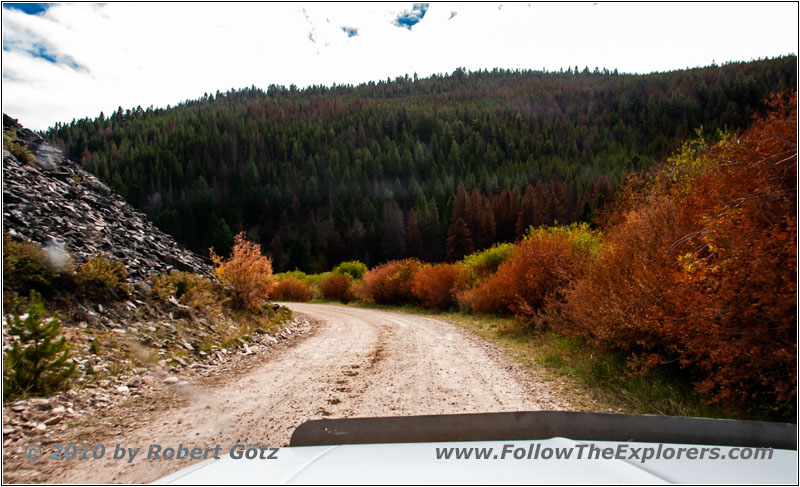 FR181/Bloody Dick Rd, Montana