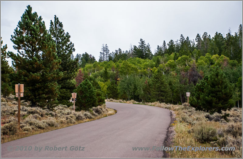 FR218/Sheep Creek Geologic Loop, UT FR218/Sheep Creek Geologic Loop, UT