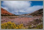 Sheep Creek Bay, Flaming Gorge, UT