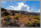 Backroad, Sheep Creek Bay, Flaming Gorge, UT