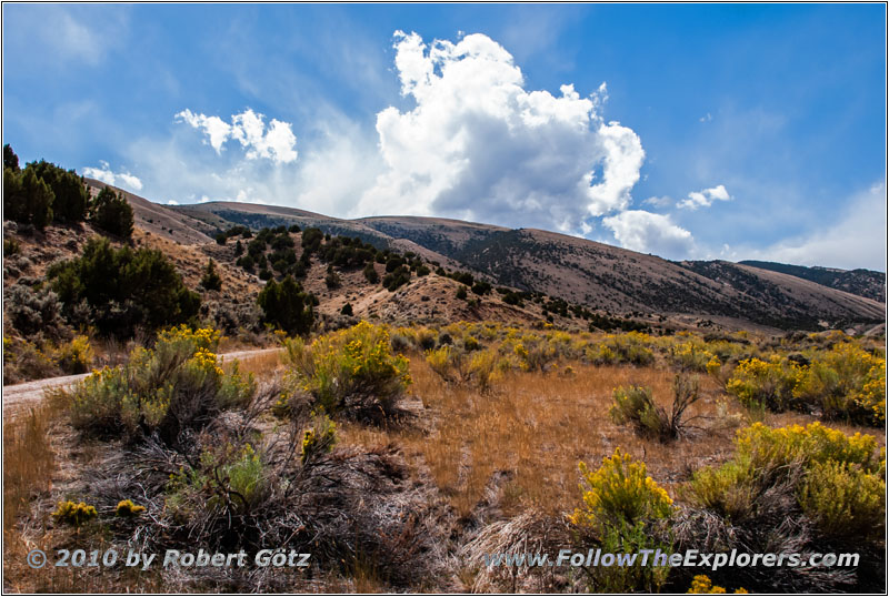 Backroad, Sheep Creek Bay, Flaming Gorge, UT Backroad, Sheep Creek Bay, Flaming Gorge, UT