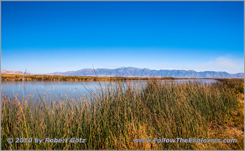 Bird Refuge Rd, Bear River, Utah