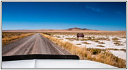 Cedar Springs Rd, Salt Wells, Utah