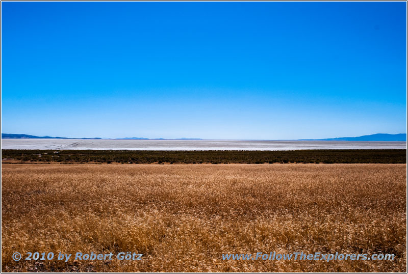 Salt Wells Rd, Utah