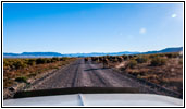 Vieh, Pilot Mountain Rd, Utah