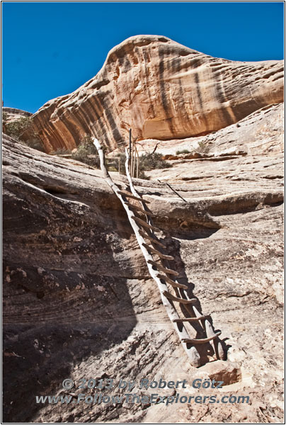 Natural Bridges Ladder