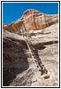 Natural Bridges Ladder