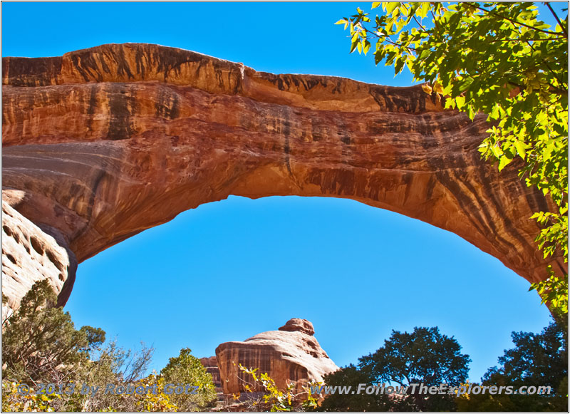 Natural Bridges Sipapu Bridge