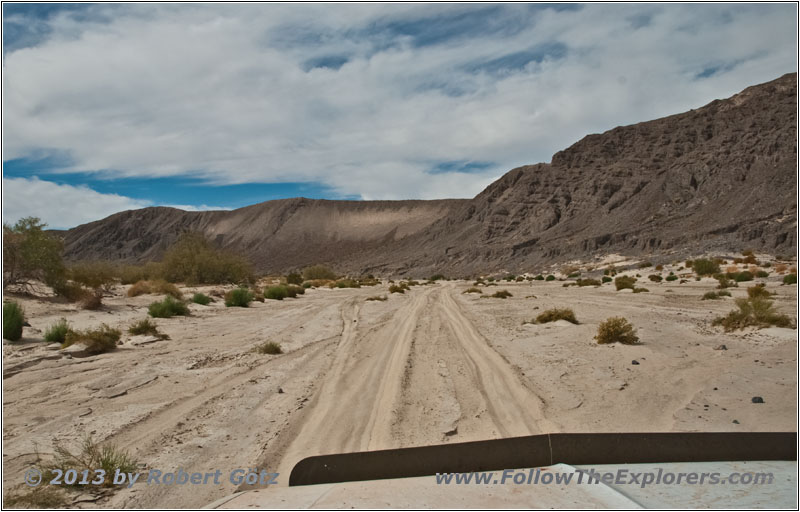 Mohave River in Mohave Desert