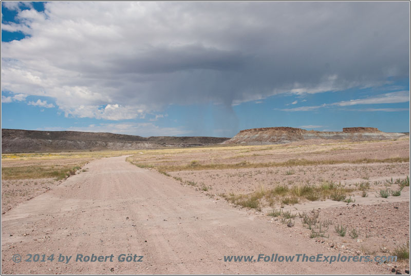 Yellow Cat Trail