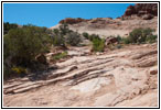 Squaw Park Trail — this is the “Road”