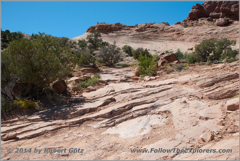 Squaw Park Trail — this is the “Road”