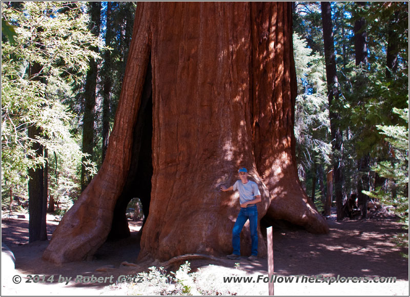 Sequoia National Park