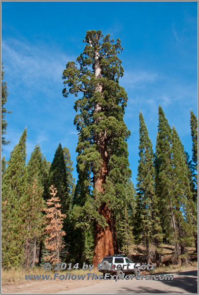 Sequoia National Park