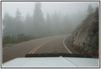 Sequoia National Park Nebel