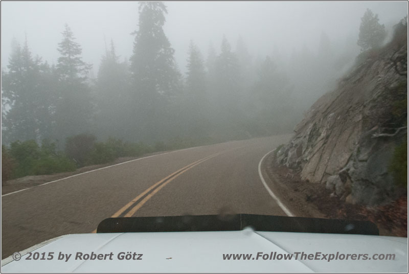 Sequoia National Park Fog