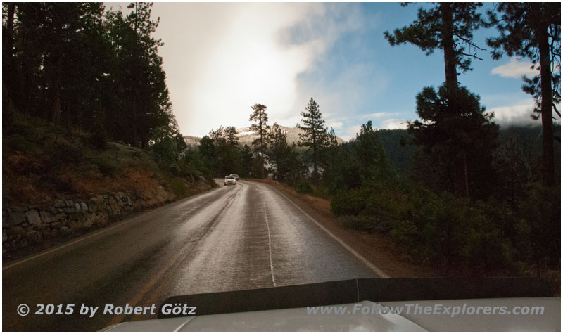 Sequoia National Park