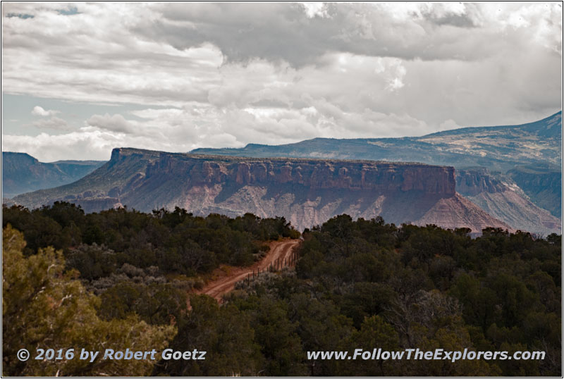 Dome Plateau Road, Utah