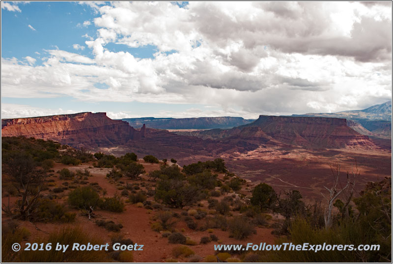 Dome Plateau Road, Utah