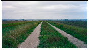 Levee Rd, KS Levee Rd, KS