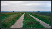 Levee Rd, Kansas