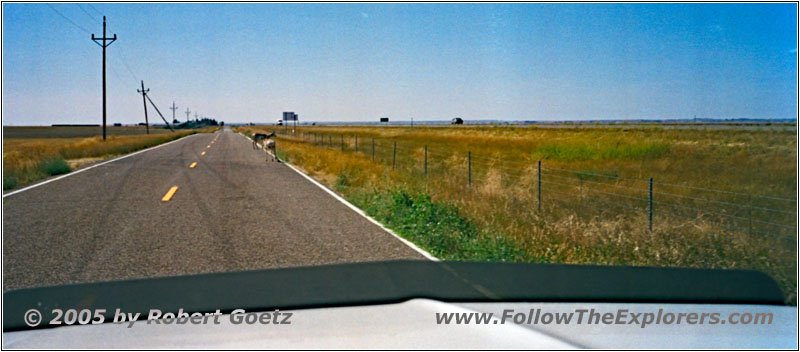 Deer, Rd 616, MT Deer, Rd 616, MT