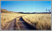 Backroad, MT Backroad, MT